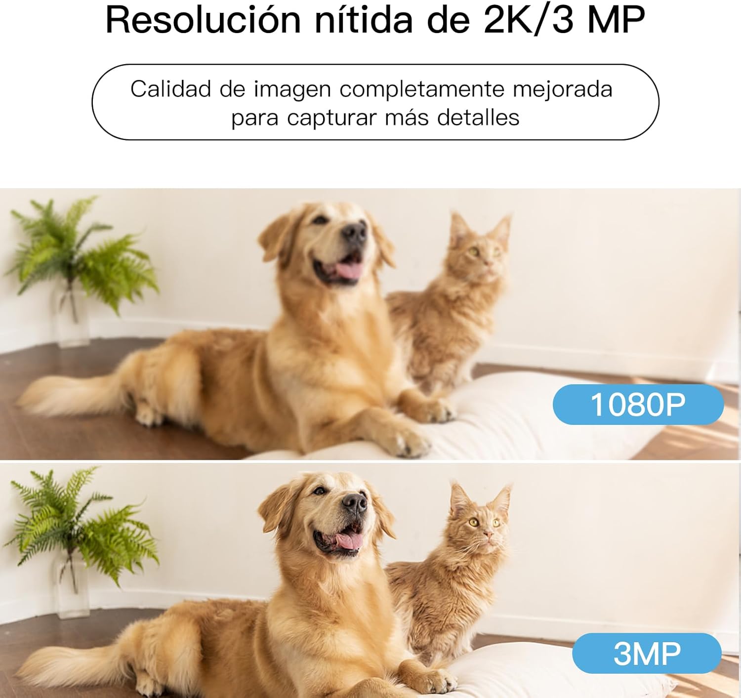 LAXIHUB Cámara WiFi Interior 3MP - Cámara para Mascotas